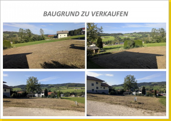 Klicken Sie auf das Bild, um es zu vergr&ouml;&szlig;ern